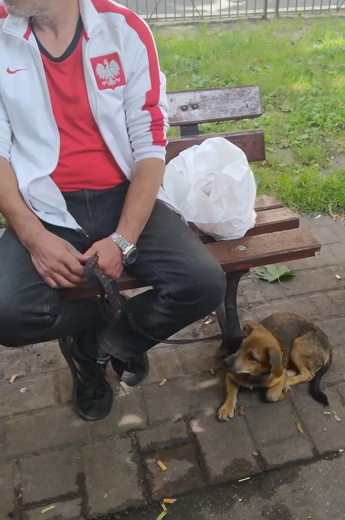 Skandalicznie traktował psa. Interweniowała straż miejska