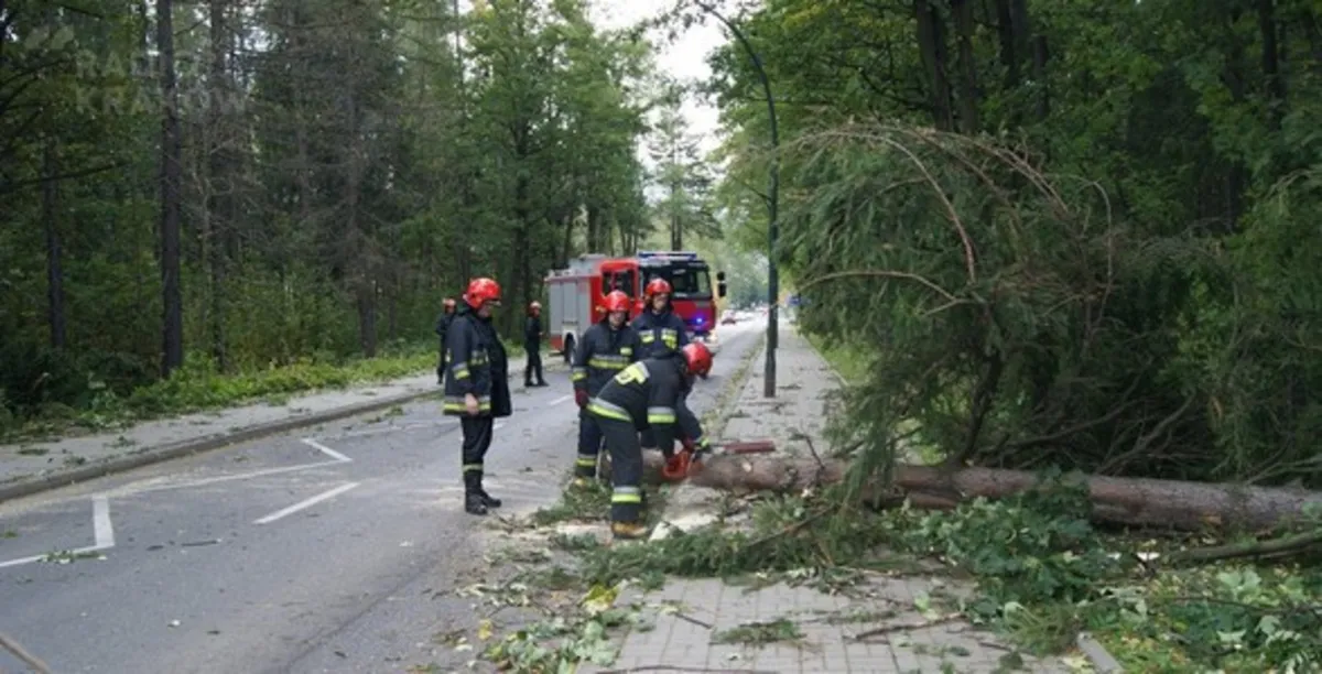 Silny wiatr na Podhalu, połamane drzewa i uszkodzone dachy