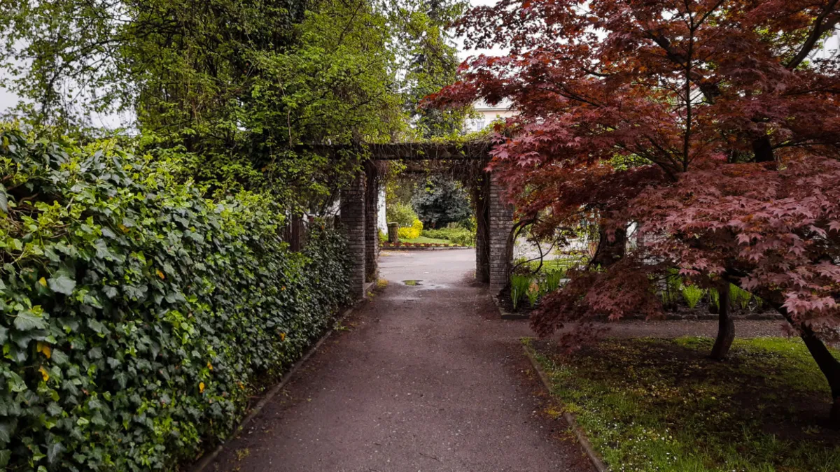 Szklarnia "Victoria" w Ogrodzie Botanicznym otwarta dla zwiedzających
