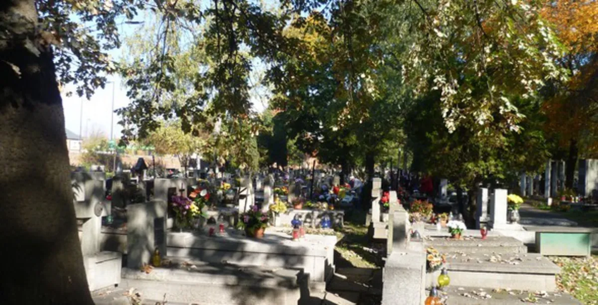 Cmentarz Rakowicki 10 dni przed świętem. ZDJĘCIA