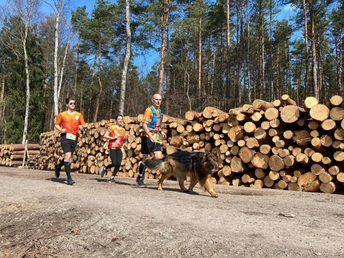 12-godzinny protest w obronie Puszczy Dulowskiej 