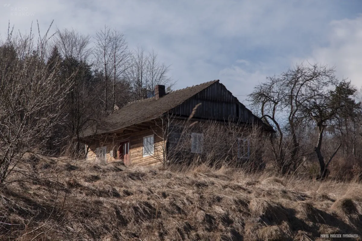 Kudłacze