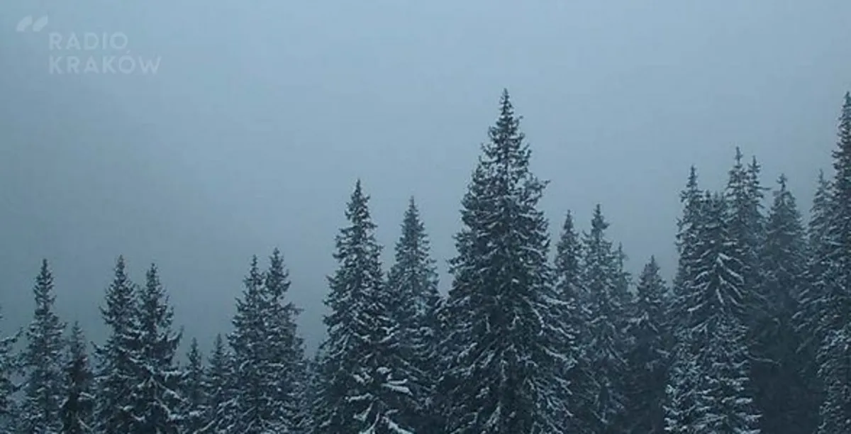 Pierwszy poważny atak zimy. Na Podhalu 20 cm śniegu. ZDJĘCIA