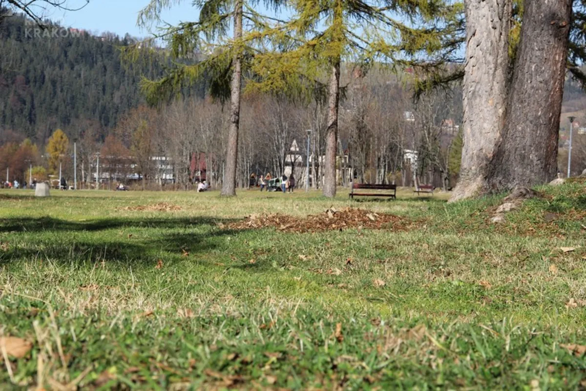 Zakopane odnowi Równie Krupową i Park imienia Lecha Kaczyńskiego za 8 milionów złotych