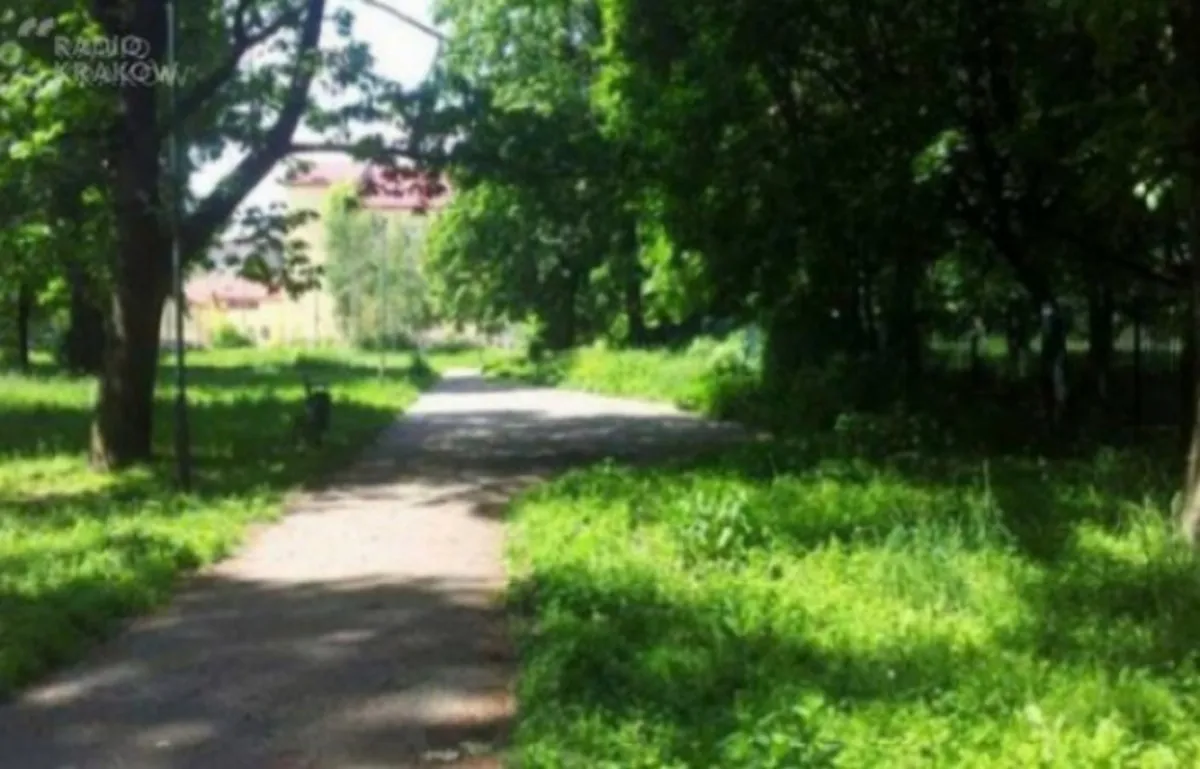 Kraków: park Jalu Kurka w rejonie ul. Szlak zostanie udostępniony mieszkańcom