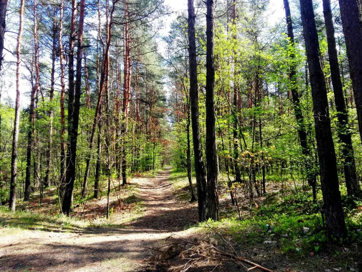 Malownicza dolina Żabnika