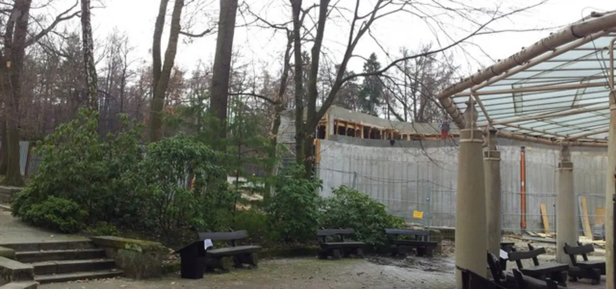 W krakowskim ZOO zamieszkają żyrafy