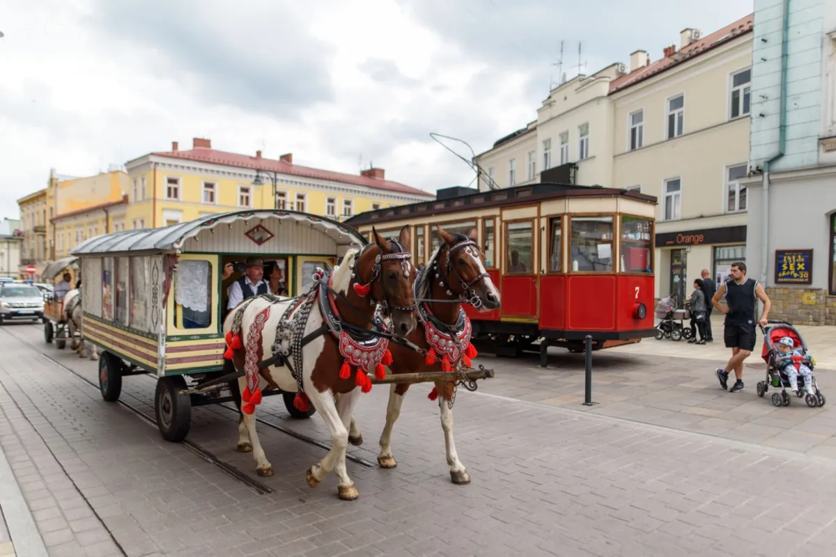Międzynarodowy Tabor Pamięci Romów