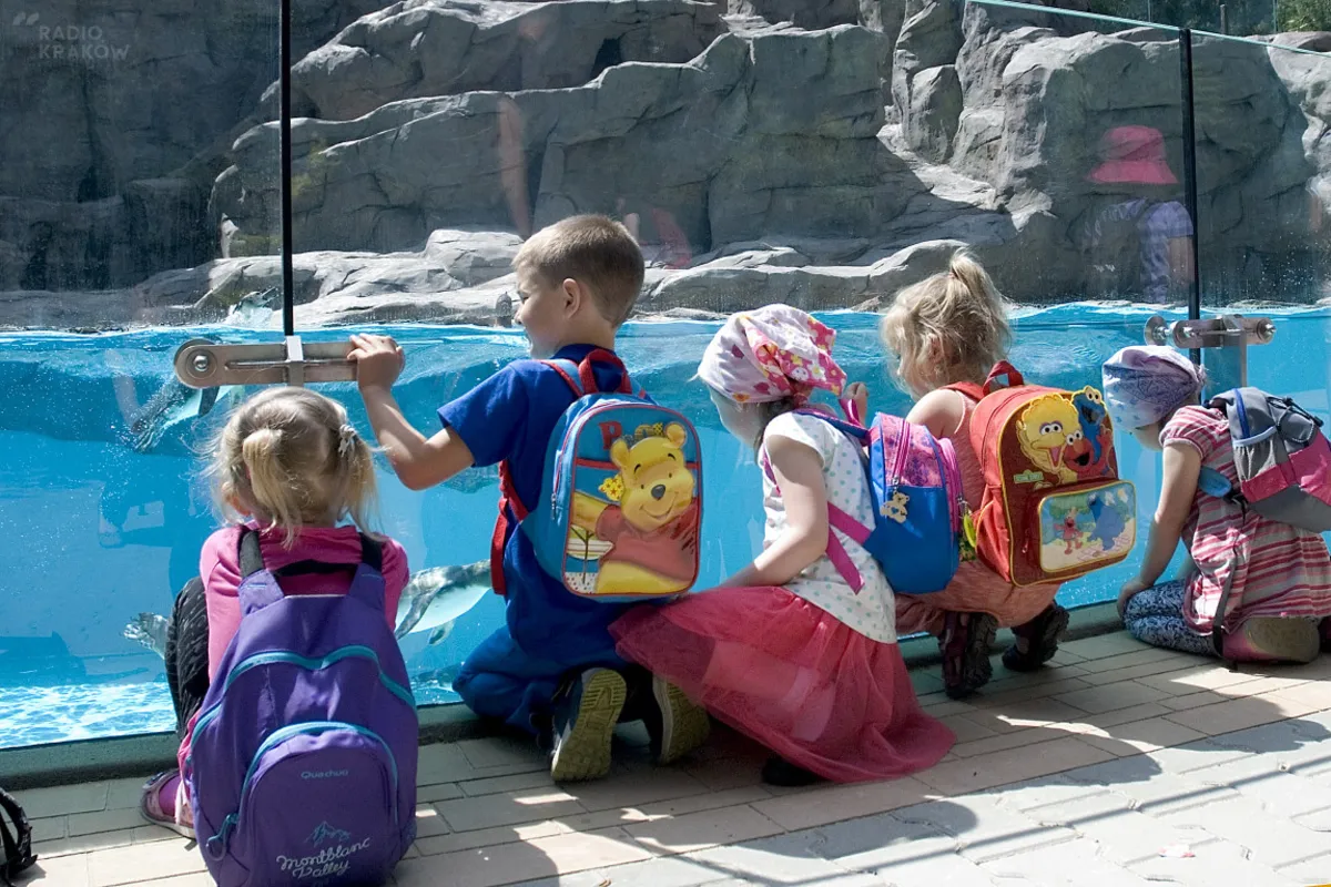 ZOO i Las Wolski zaprasza uczniów klas I-III na zajęcia w plenerze 