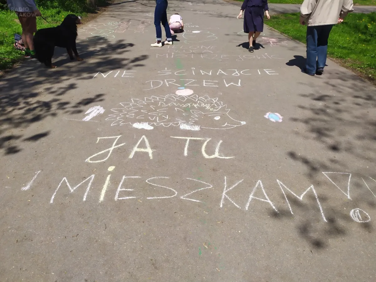 Protest przeciwko wycince drzew w parku Mistrzejowickim
