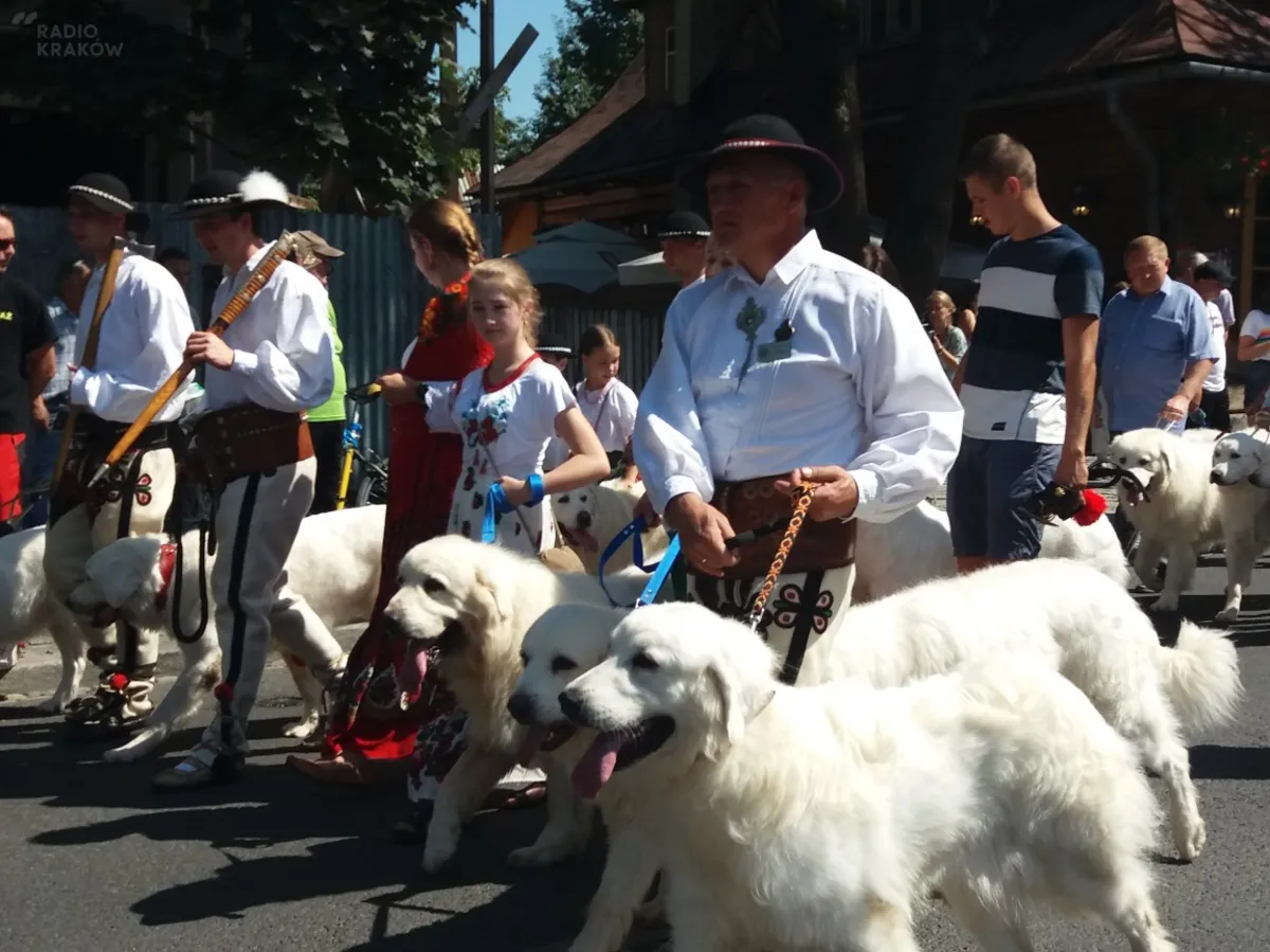 50. Międzynarodowy Festiwal Ziem Górskich rozpoczęty!