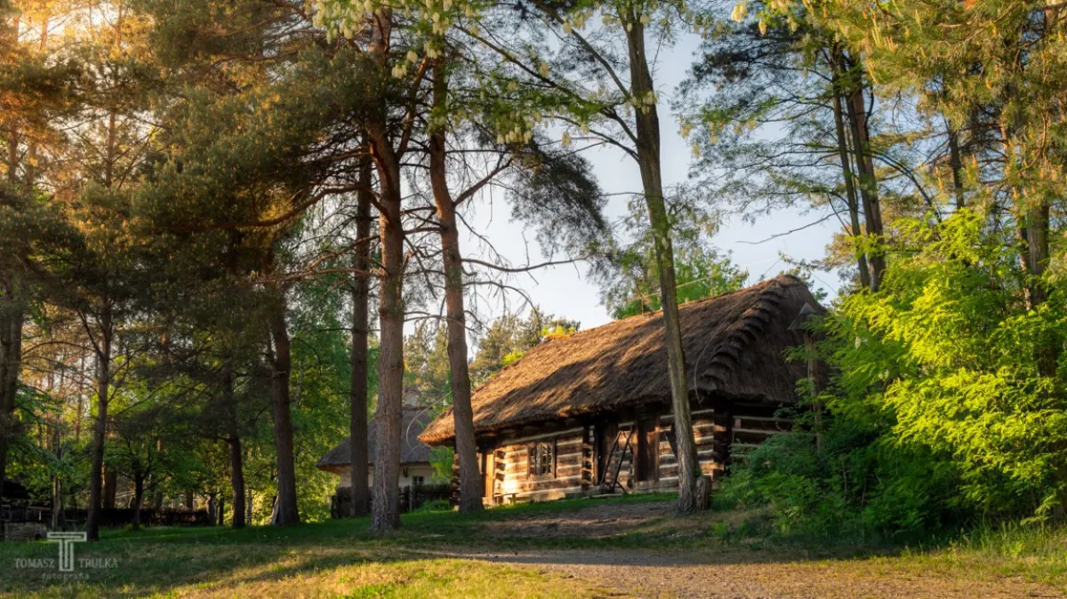 To trzeba zobaczyć! Wycieczka po małopolskiej części Jury Krakowsko-Częstochowskiej