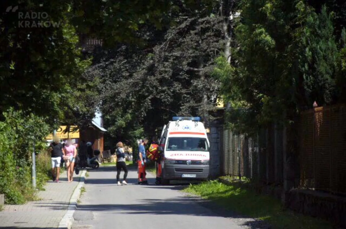 Pies pogryzł dziecko w Zakopanem