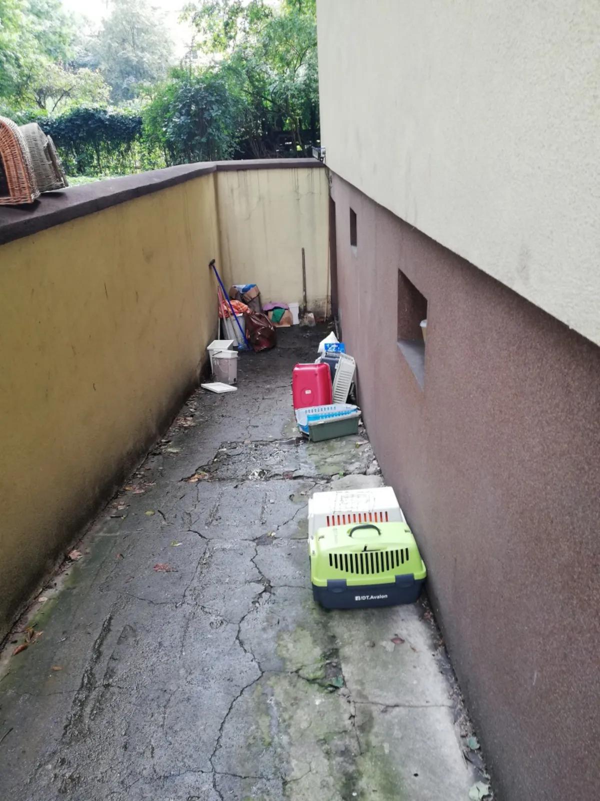 Woda zalała pomieszczenia fundacji Stawiamy na Łapy