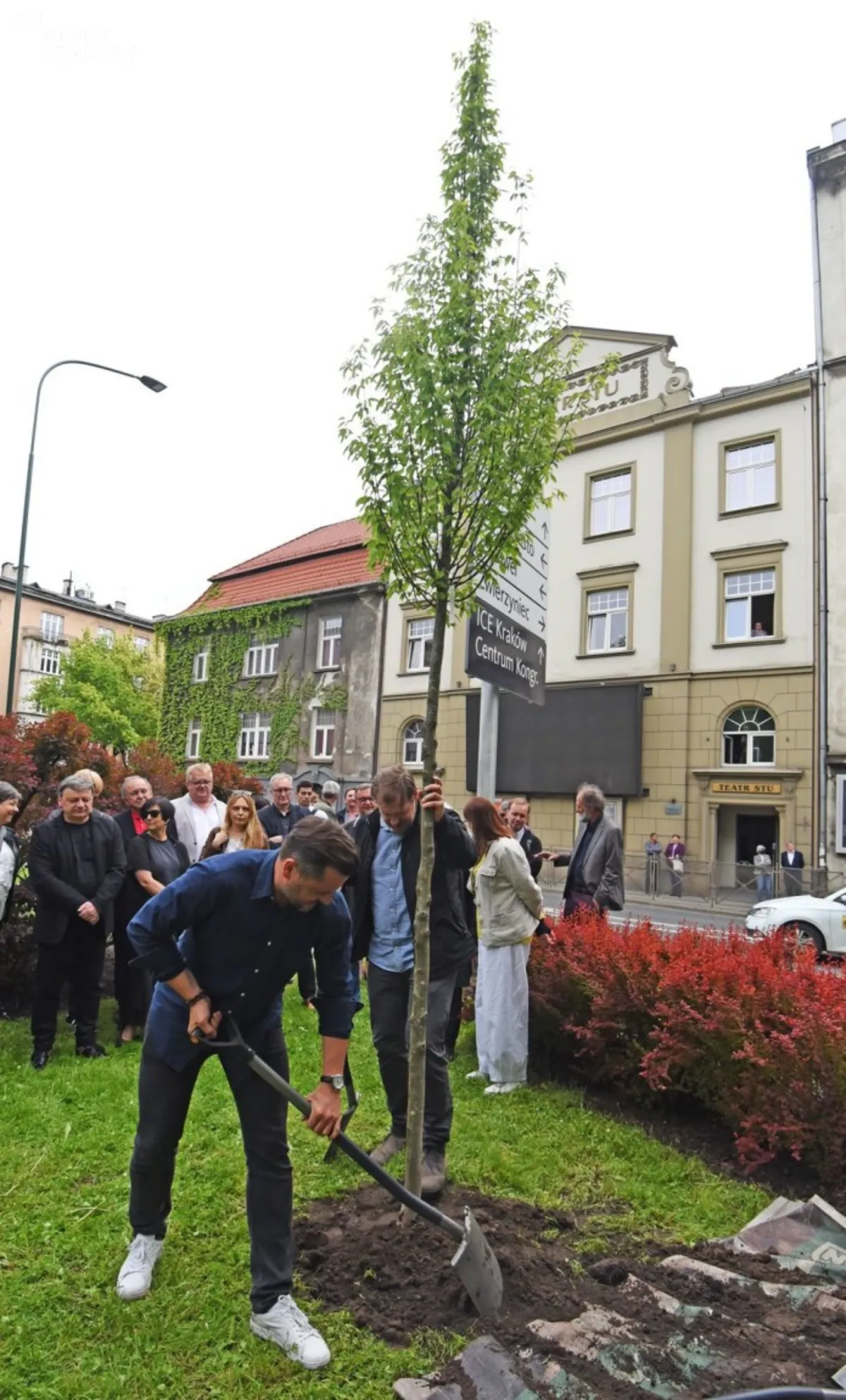 Grab posadzony przed Teatrem Stu upamiętnia Dariusza Gnatowskiego