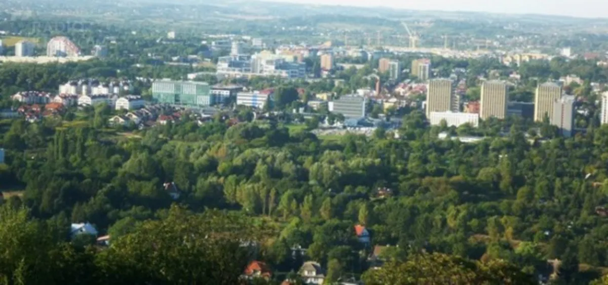Interwencja: Czy nikt nie kosi trawników w Krakowie?