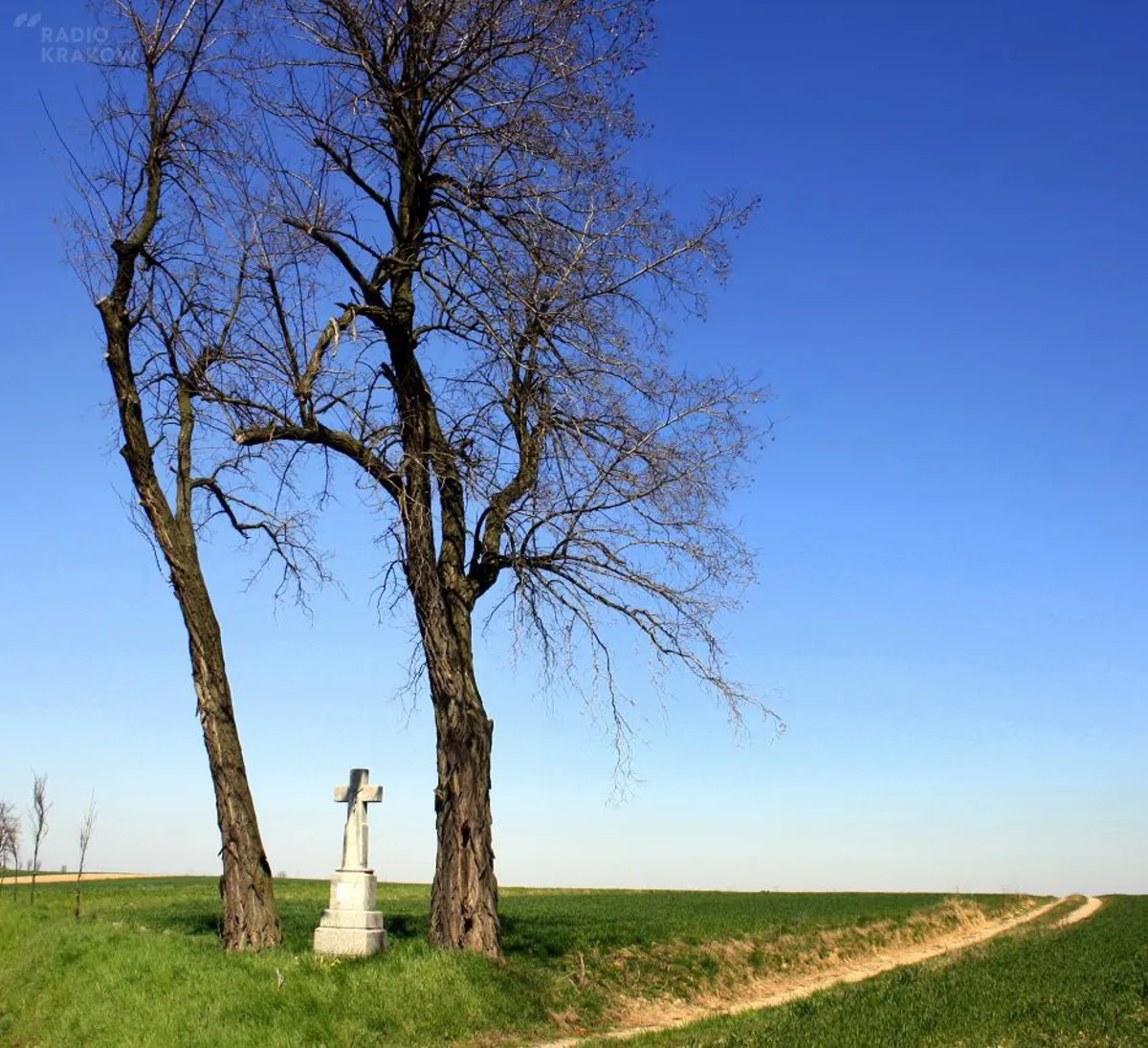 Wędrówka do podojcowskiego Grodziska