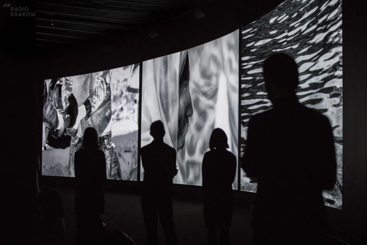 Richard Mosse "Incoming"