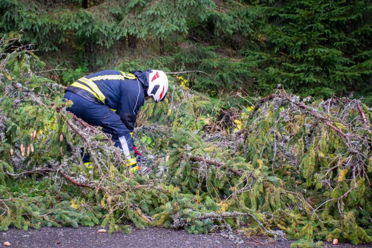 Halny wieje nawet 180 km na godzinę, możliwy deszcz. TPN odradza wycieczki