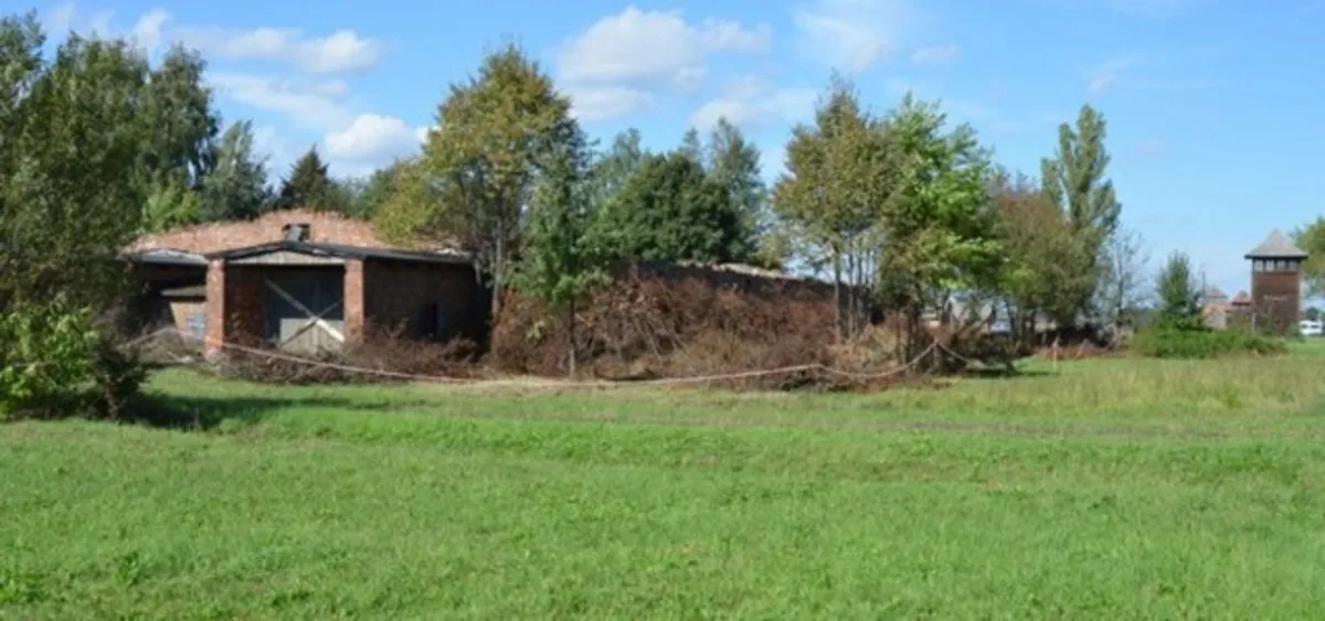 "Małe ziemniaczarki" pod opieką Muzeum Auschwitz