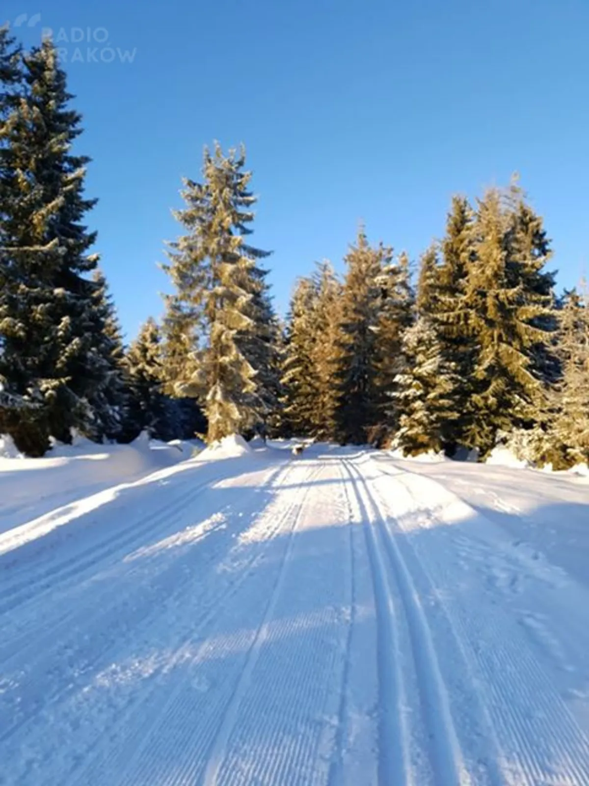 Zimowa trasa Obidowa - Turbacz
