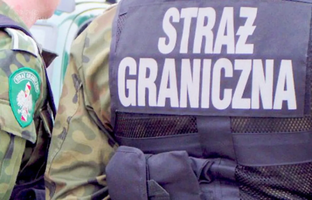Nielegalni imigranci zatrzymani w naczepie tira