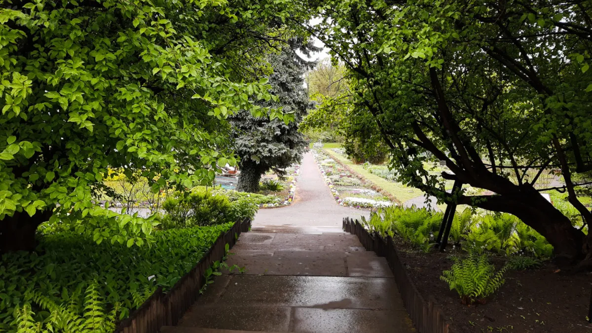 Maj - to najpiękniejszy czas w krakowskim Ogrodzie Botanicznym