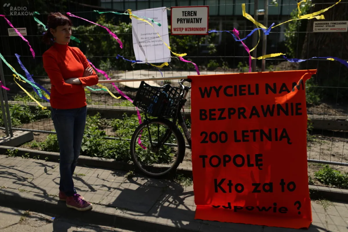 Pożegnanie dwustuletniej topoli na Placu Na Stawach w Krakowie