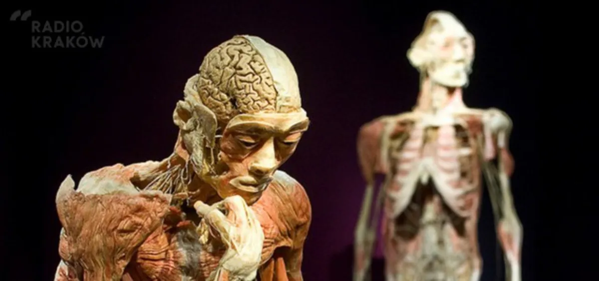 Human Body Exhibition: nie doszło do znieważenia