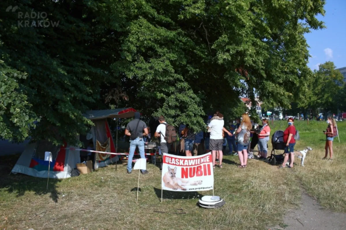 Protest na krakowskich Błoniach przeciwko „aresztowaniu” pumy Nubii