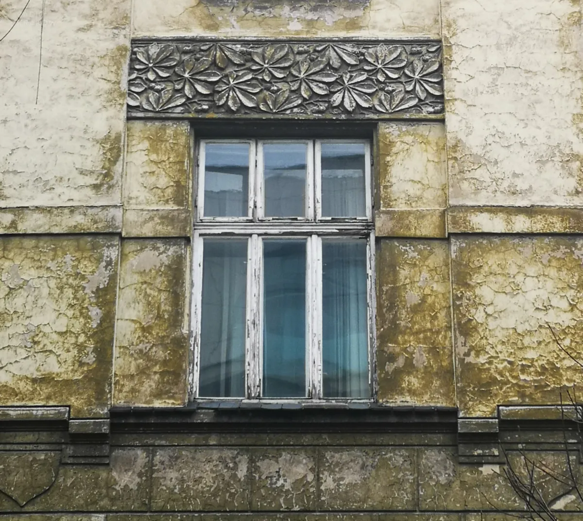 Kasztany na krakowskich fasadach i balustradach