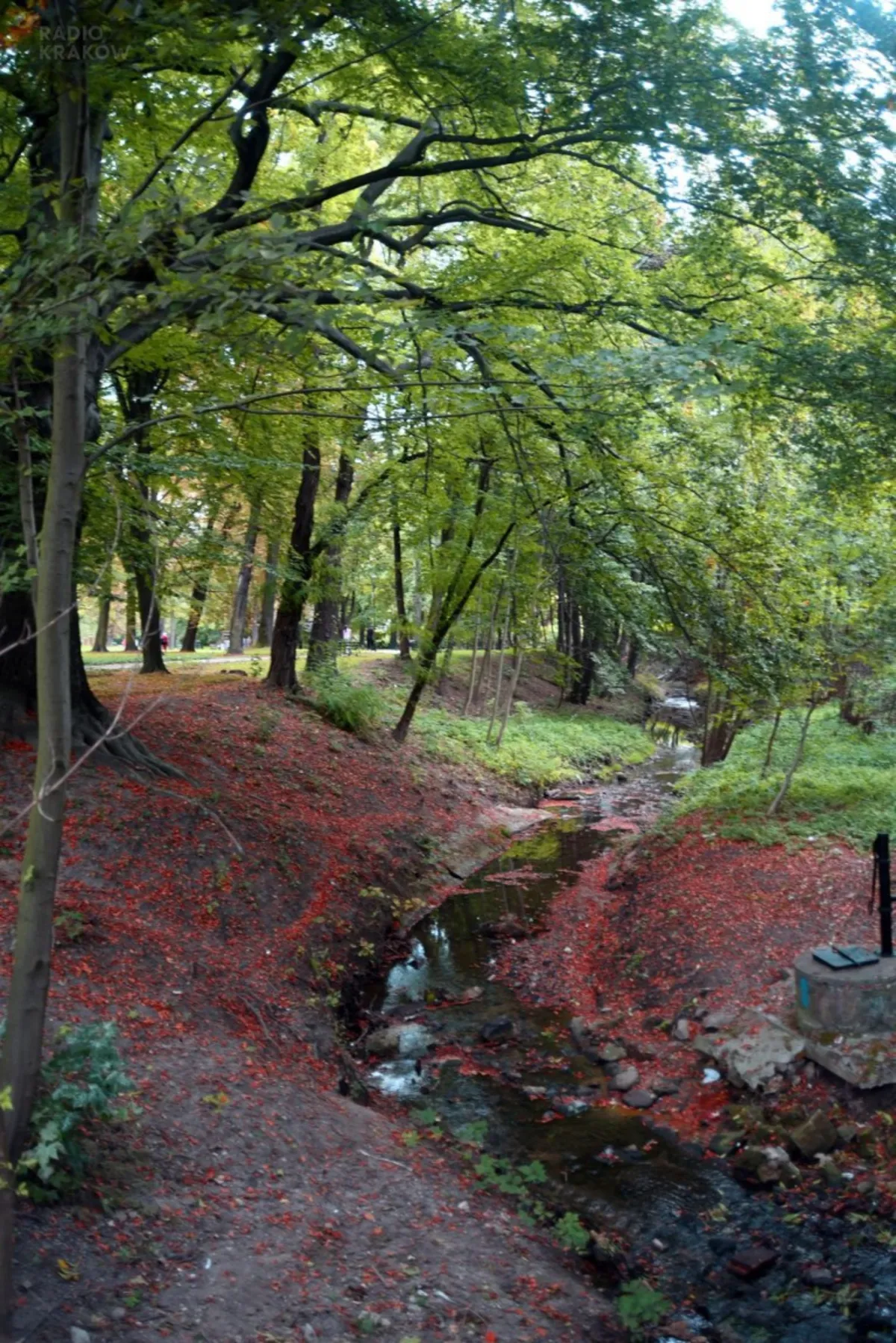 Park Erazma i Anny Jerzmanowskich po rewitalizacji