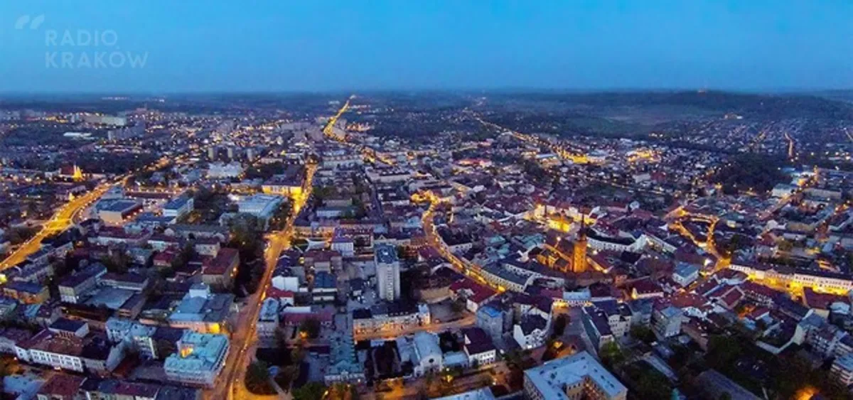 Tarnów: pomogą dotrzeć niepełnosprawnym na eurowybory