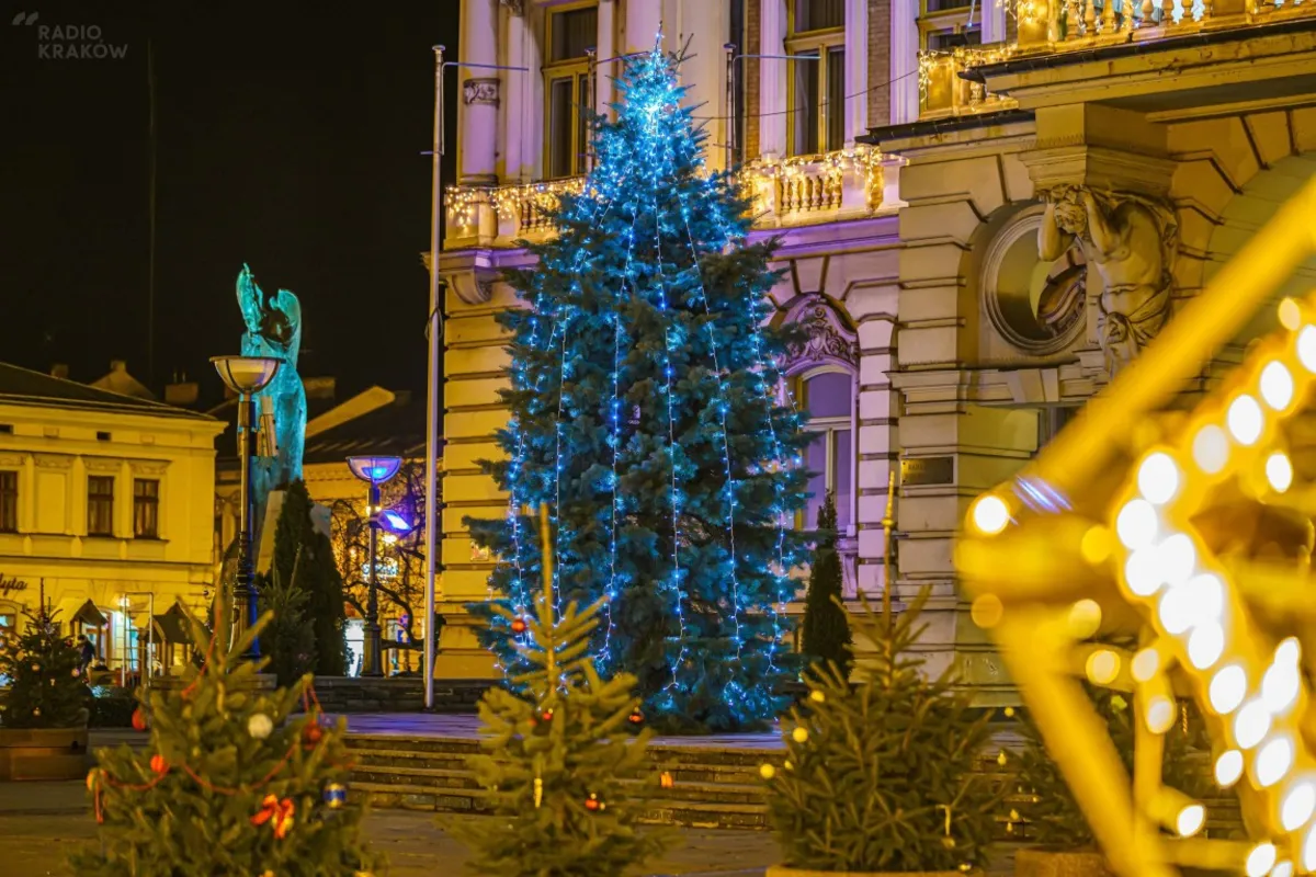 Nowy Sącz. Choinki na rynku