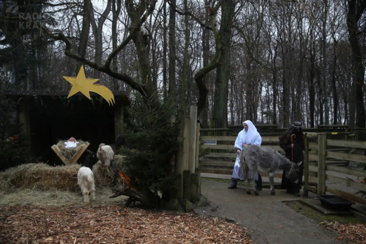 Żywa szopka w krakowskim ZOO