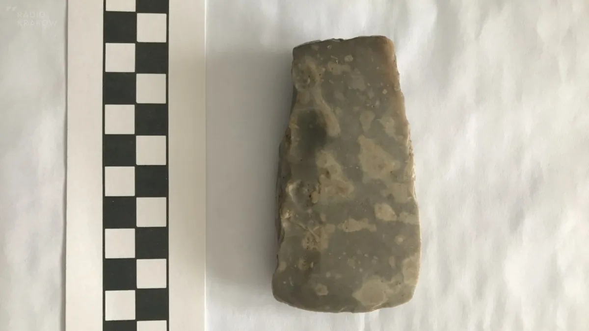 Mieszkaniec Raciechowic odnalazł siekierkę z epoki neolitu