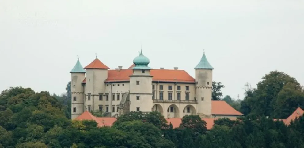 Zamek w Nowym Wiśniczu