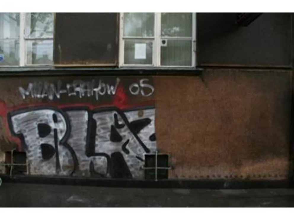 Grafitti i wulgaryzmy na krakowskich murach/fot: strona internetowa Straży Miejskiej w Krakowie