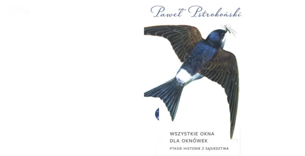 Z radiowej biblioteki: Wszystkie okna dla oknówek Paweł Pstrokoński