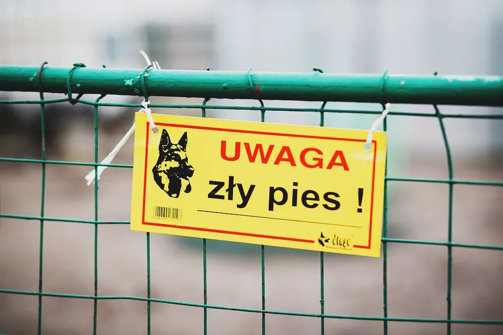 Problemy ze zwierzętami
