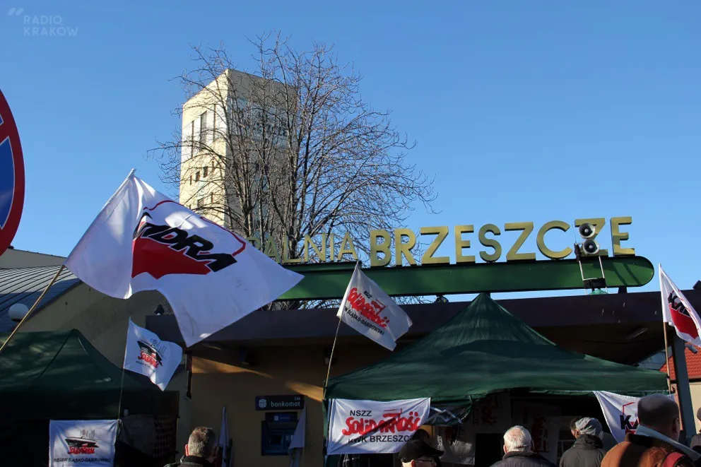 Tauron przejmie kopalnię w Brzeszczach?