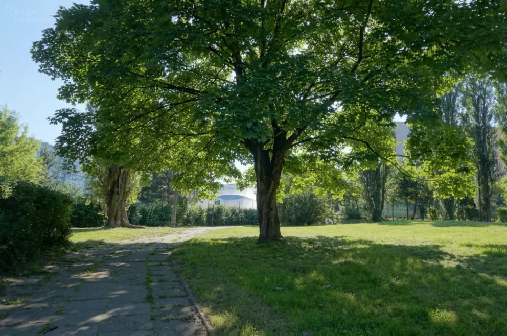Osiedle na Kozłówce: kolejna pływalnia na miejscu skweru? Mieszkańcy są oburzeni