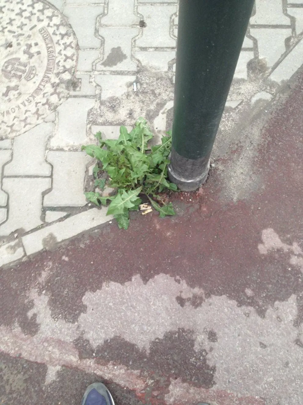 Fatalny stan utrzymania krakowskiej infrastruktury