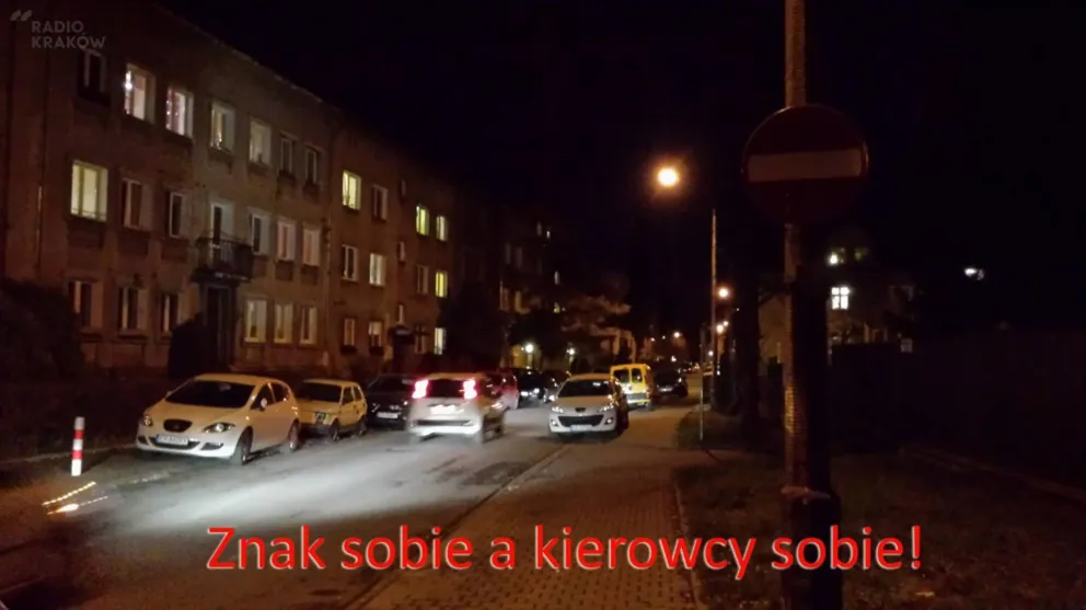 Czego nie robi straż miejska? 