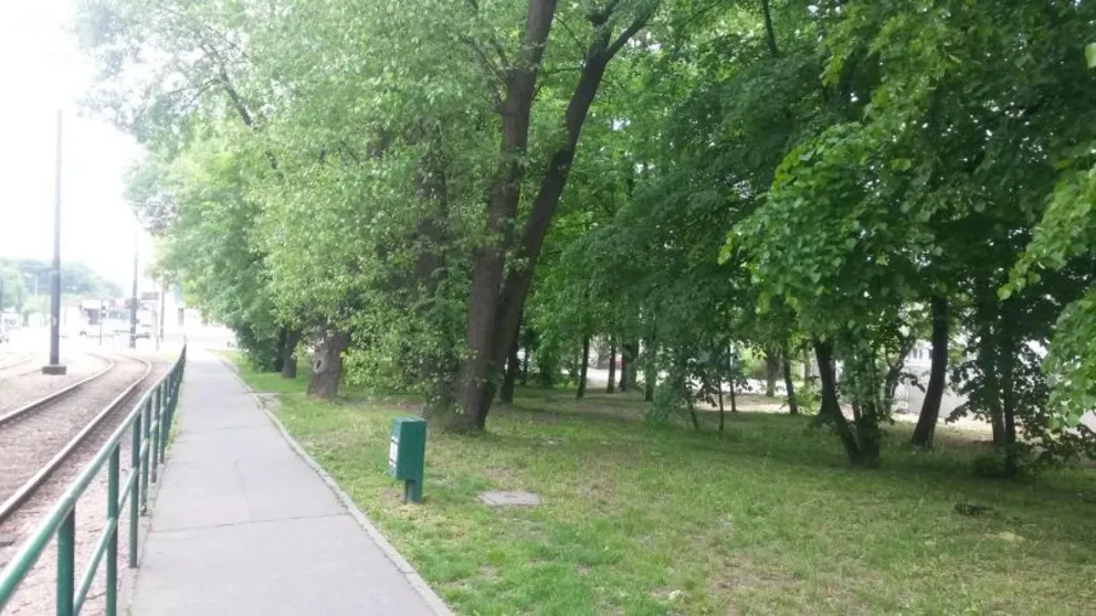 Kolejna wycinka drzew w Krakowie. Tym razem na Wielickiej