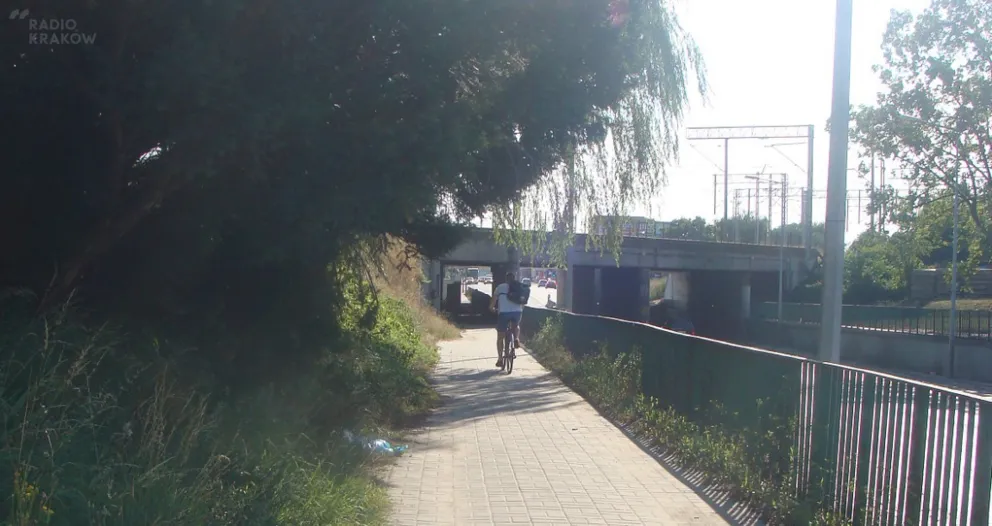Tarnów: bezkarni rowerzyści, a piesi w niebezpieczeństwie
