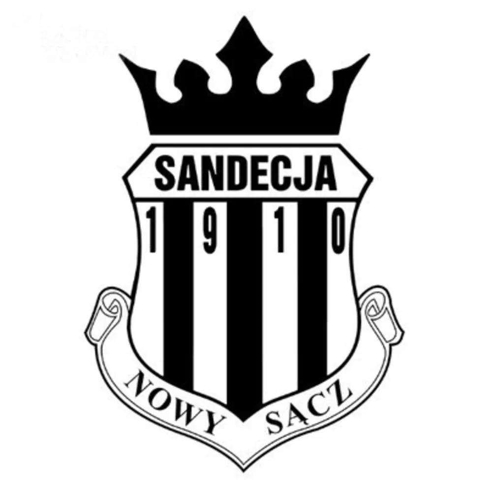 Pierwsza wygrana Sandecji w Jastrzębiu Zdroju 