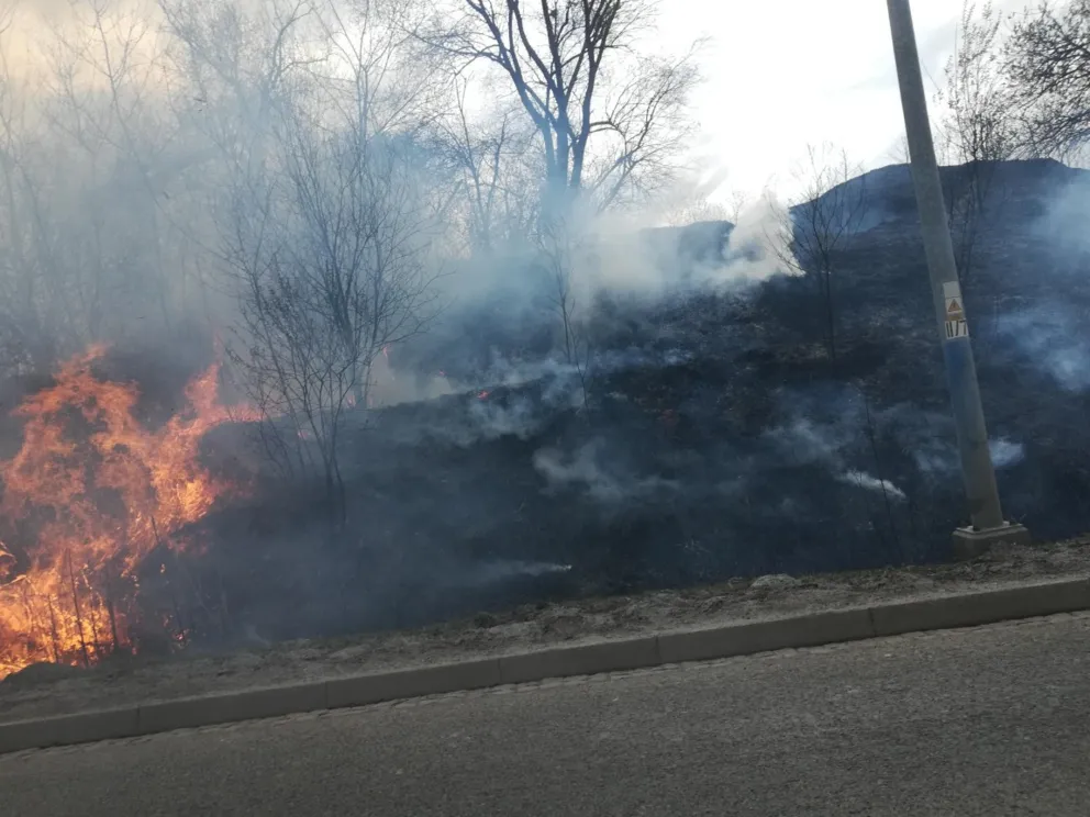 Groźny pożar traw w ok. ul. Puszkarskiej