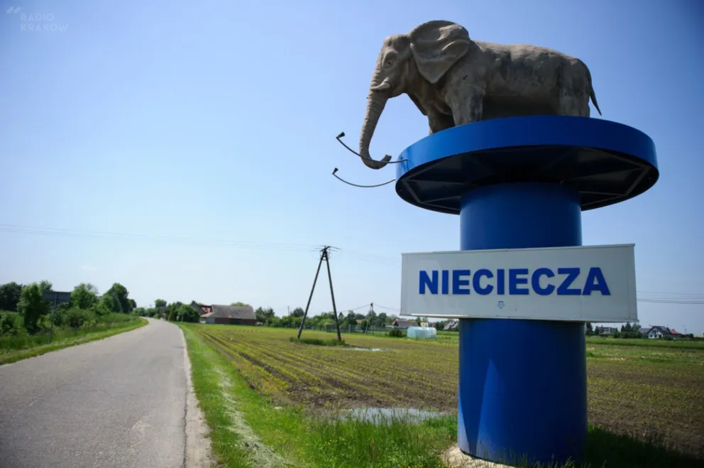Piłkarski PP – trener Bruk-Betu: Raków to rywal z najwyższej półki