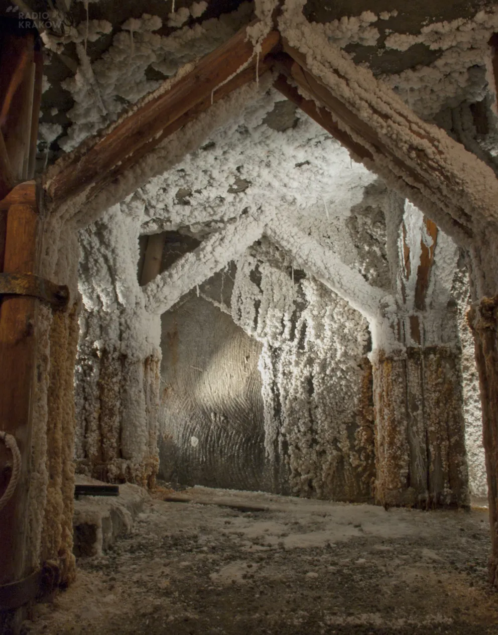 Muzeum Żup Krakowskich Wieliczka online